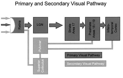 Fig. 18.4