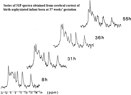 Fig. 16.9 Fig. 16.9